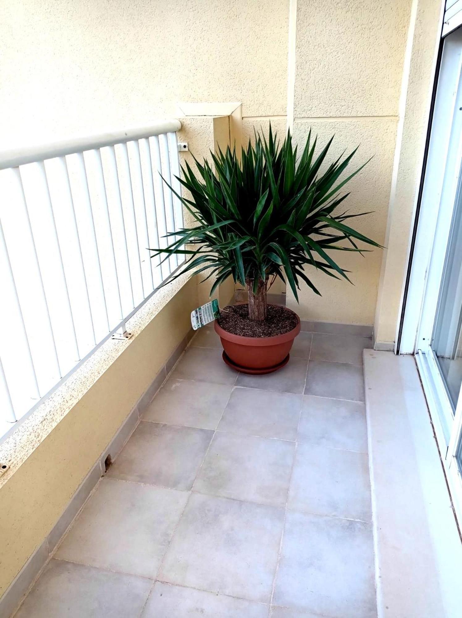 Apartamento Playasol Denia Exterior foto